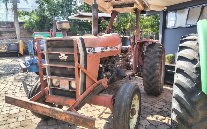 IMG_20261028_090251008_HDR.jpg